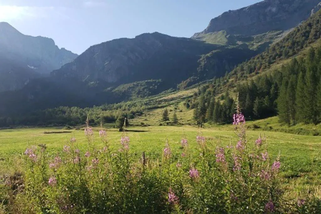 Le Gypaete - Charmant Studio 4 Pers - Tout Confort Bourg-Saint-Maurice